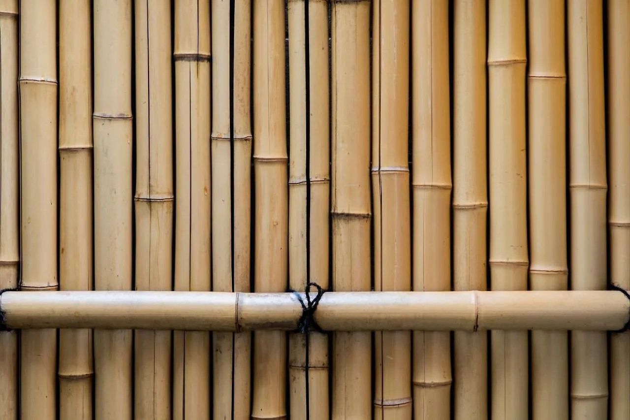 Uguisuan 鶯庵 Villa Kyoto Japan